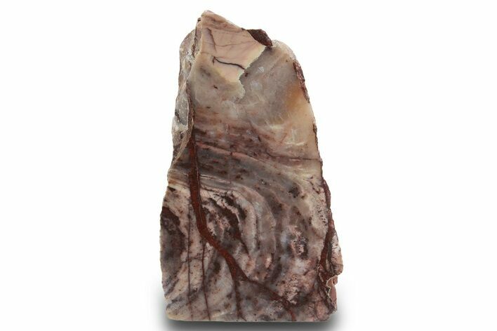 Polished Kona Dolomite Section - Michigan #299949